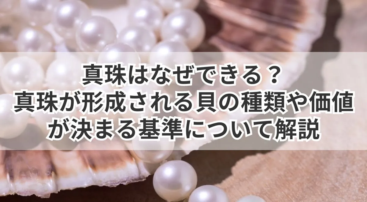 真珠はなぜできる？真珠が形成される貝の種類や価値が決まる基準について解説 | うるココ