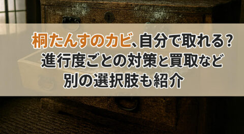 桐たんすのカビ、自分で取れる？進行度ごとの対策と買取など別の選択肢も紹介