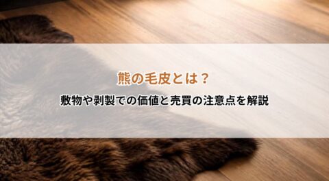熊の毛皮とは？敷物や剥製での価値と売買の注意点を解説