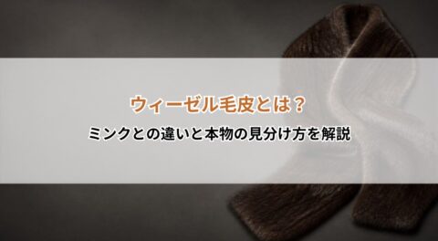 ウィーゼル毛皮とは?ミンクとの違いと本物の見分け方を解説