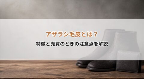 アザラシ毛皮とは?特徴と売買のときの注意点を解説