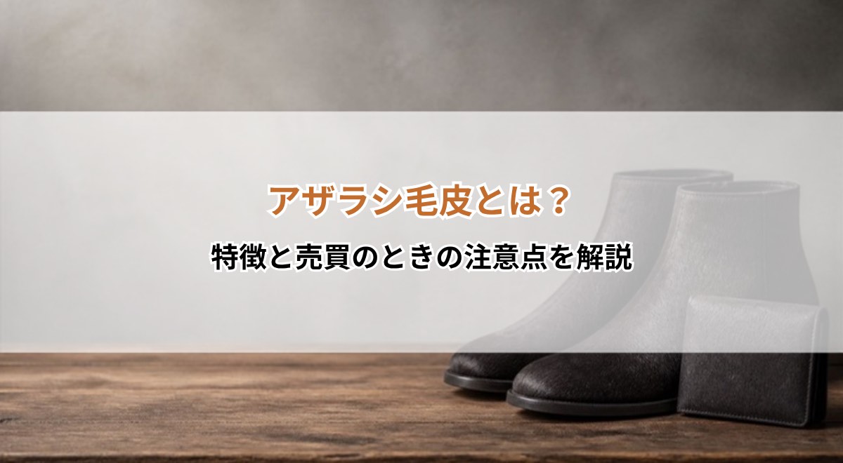 アザラシ毛皮とは?特徴と売買のときの注意点を解説
