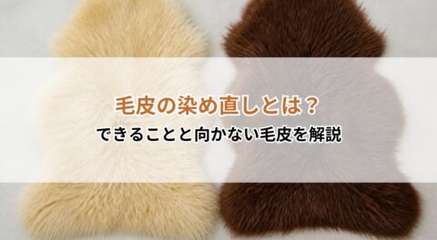 毛皮の染め直しとは？できることと向かない毛皮を解説