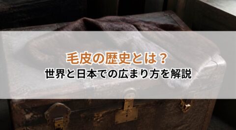 毛皮の歴史とは?世界と日本での広まり方を解説